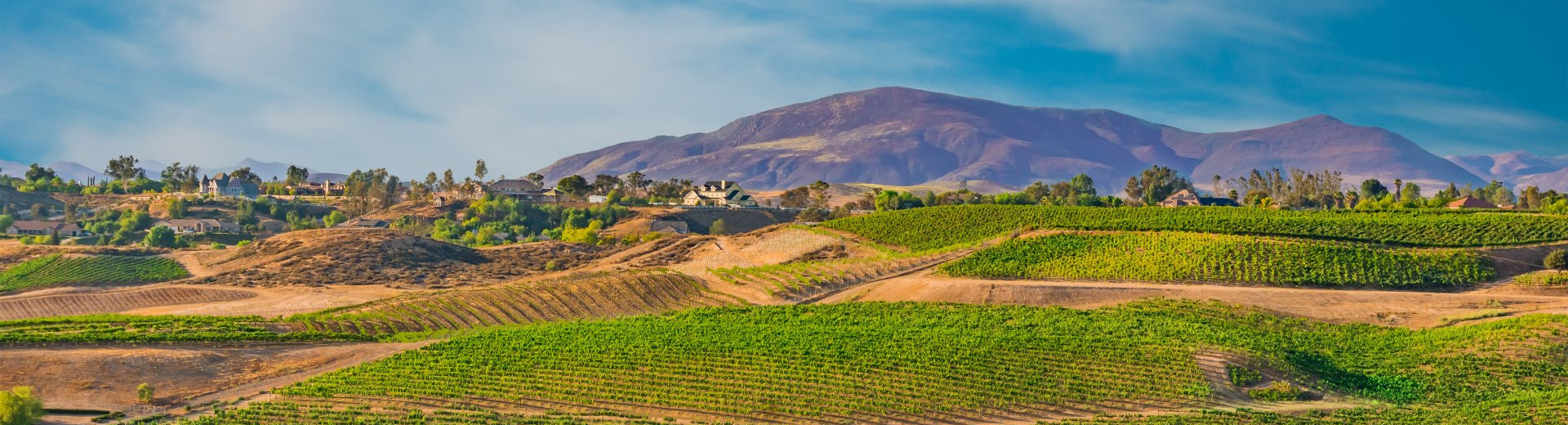 Party Bus Rentals Temecula