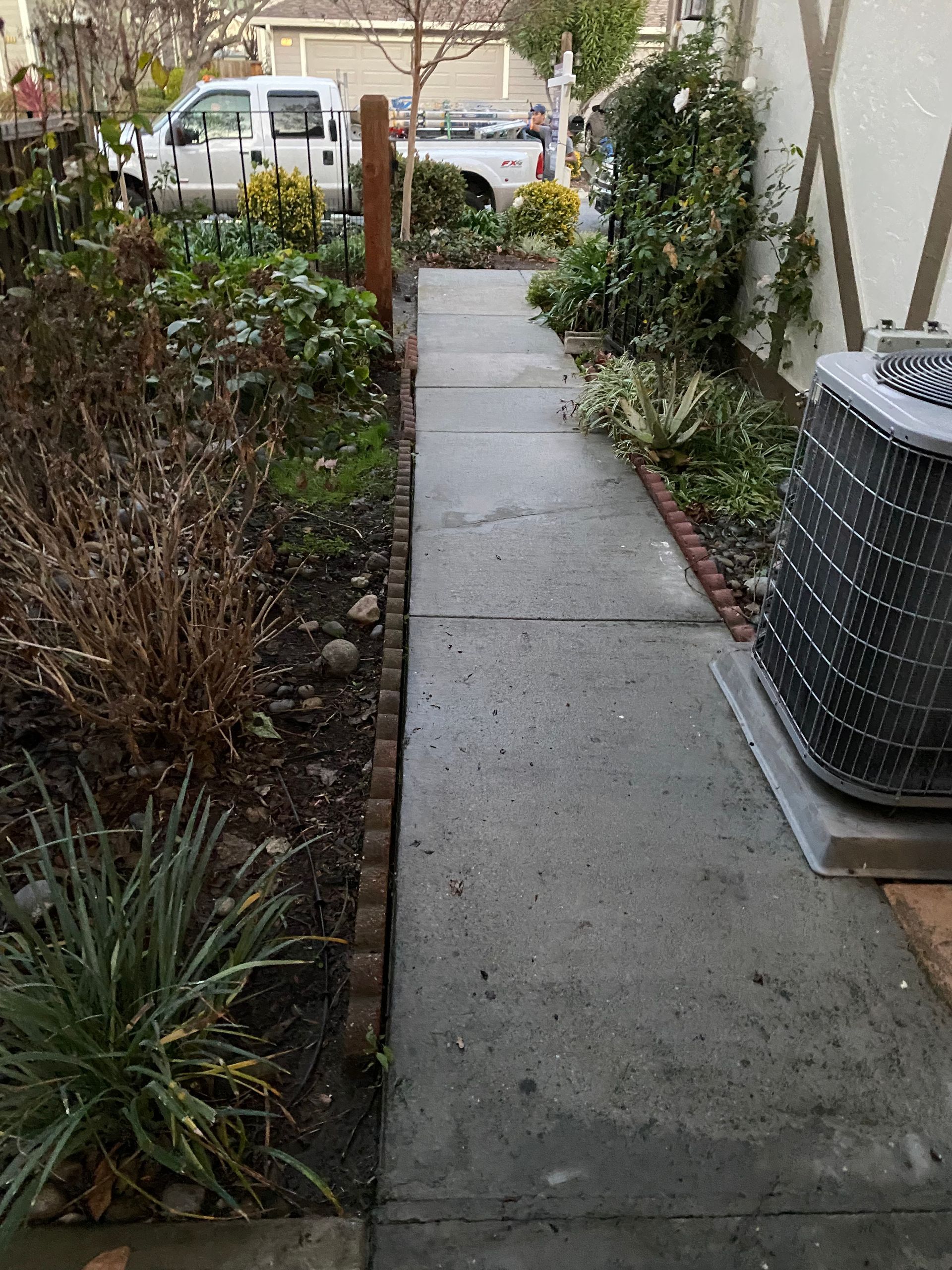 Narrow concrete walkway leading past shrubs to a street with parked vehicles