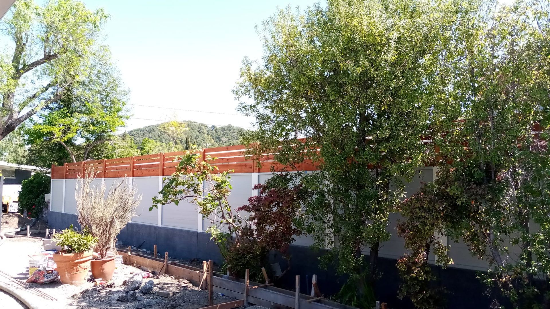 Tree-lined backyard with a white wall, orange fence, and potted plants in bright sunlight