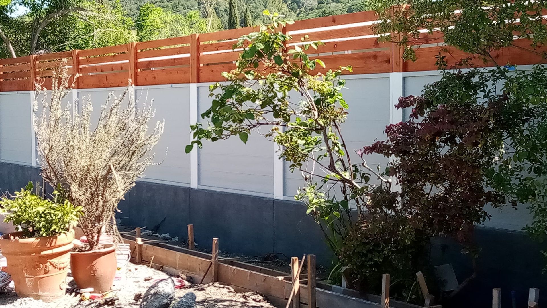 Small garden with potted plants, a flowering tree, and a white fence topped with orange slats in sunlight