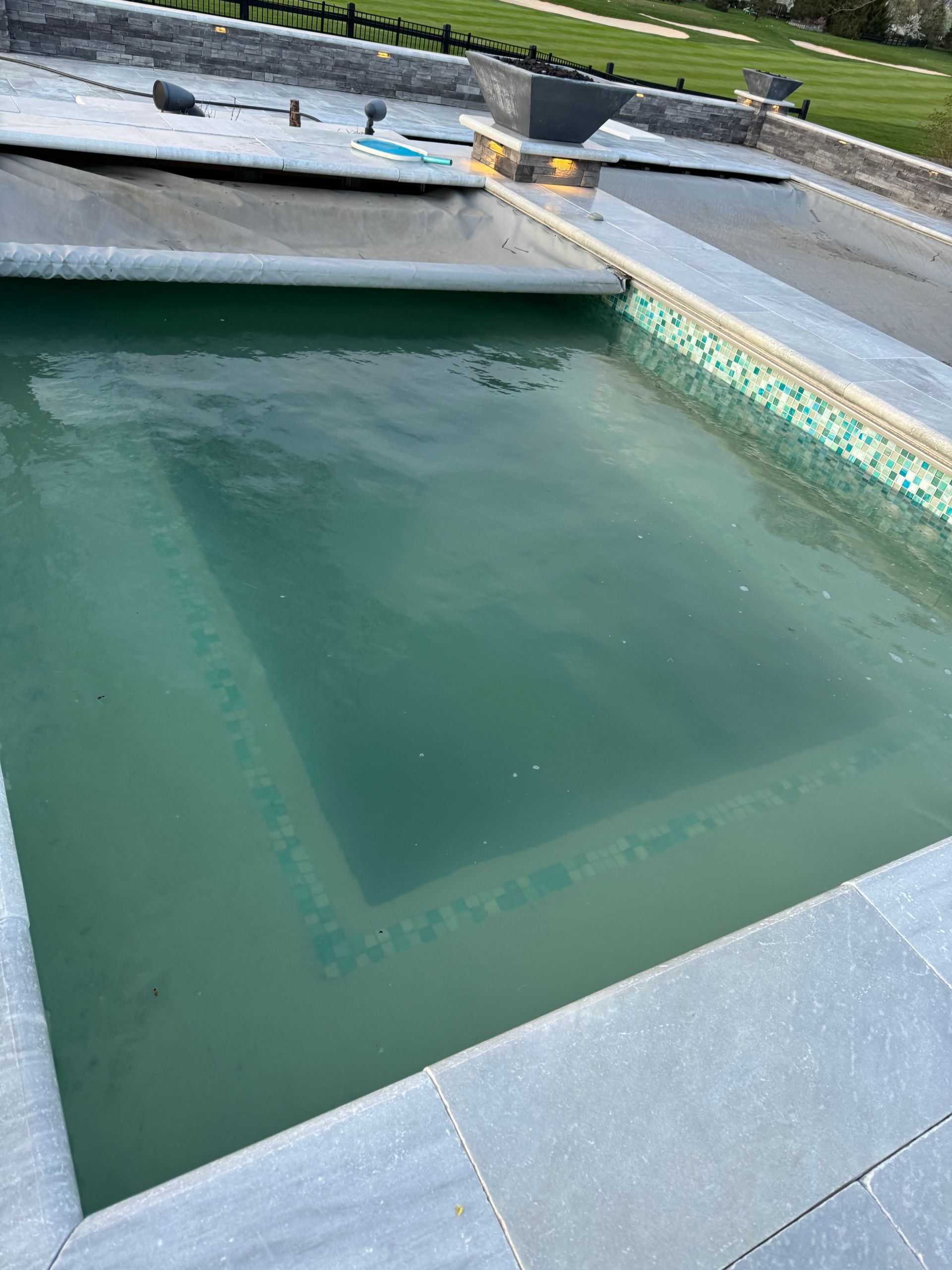 Empty rectangular pool with green water beside a stone walkway and lawn