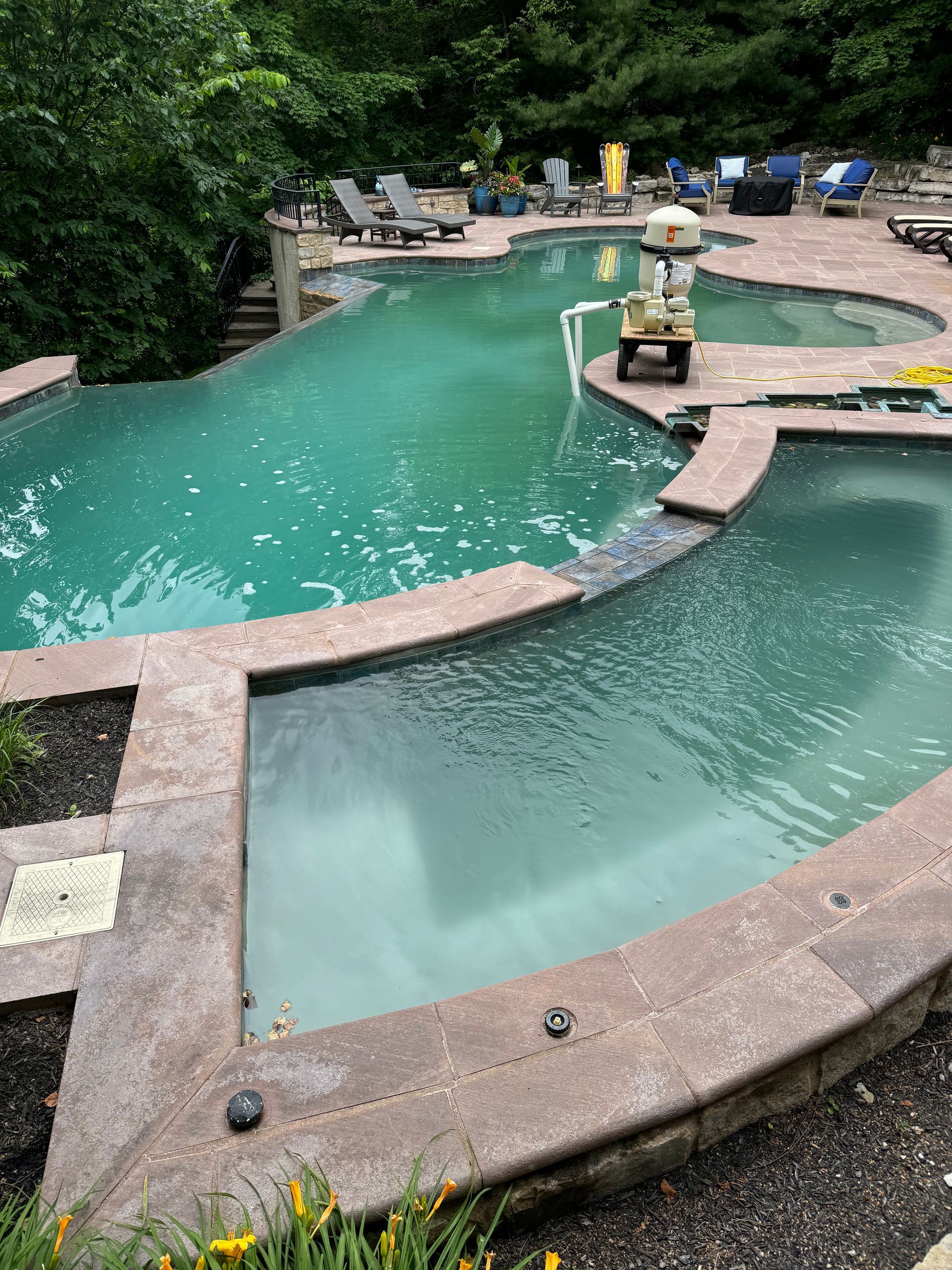 Green resort pool with curved concrete edges, a central fountain, and lounge chairs by trees