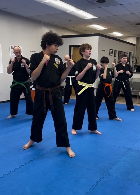 adult martial arts