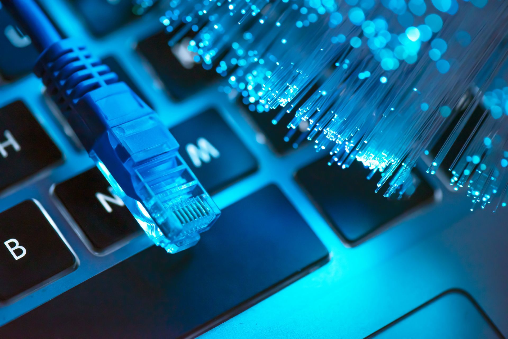 High-speed fiber optic cables showcasing business internet services for fast connectivity.