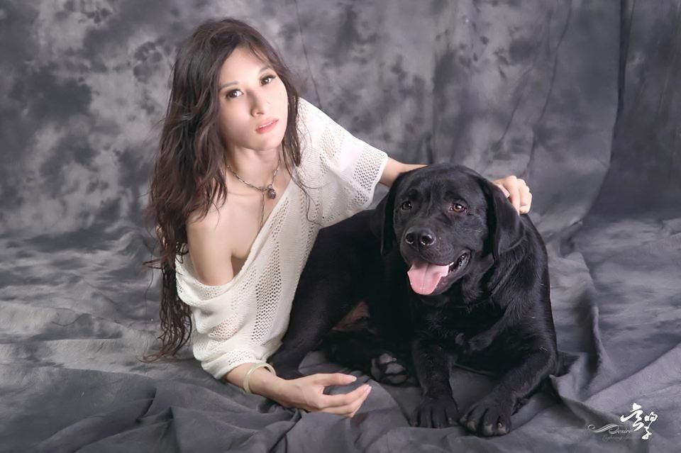 Nine, a Labrador Retriever at Toptail Labradors.