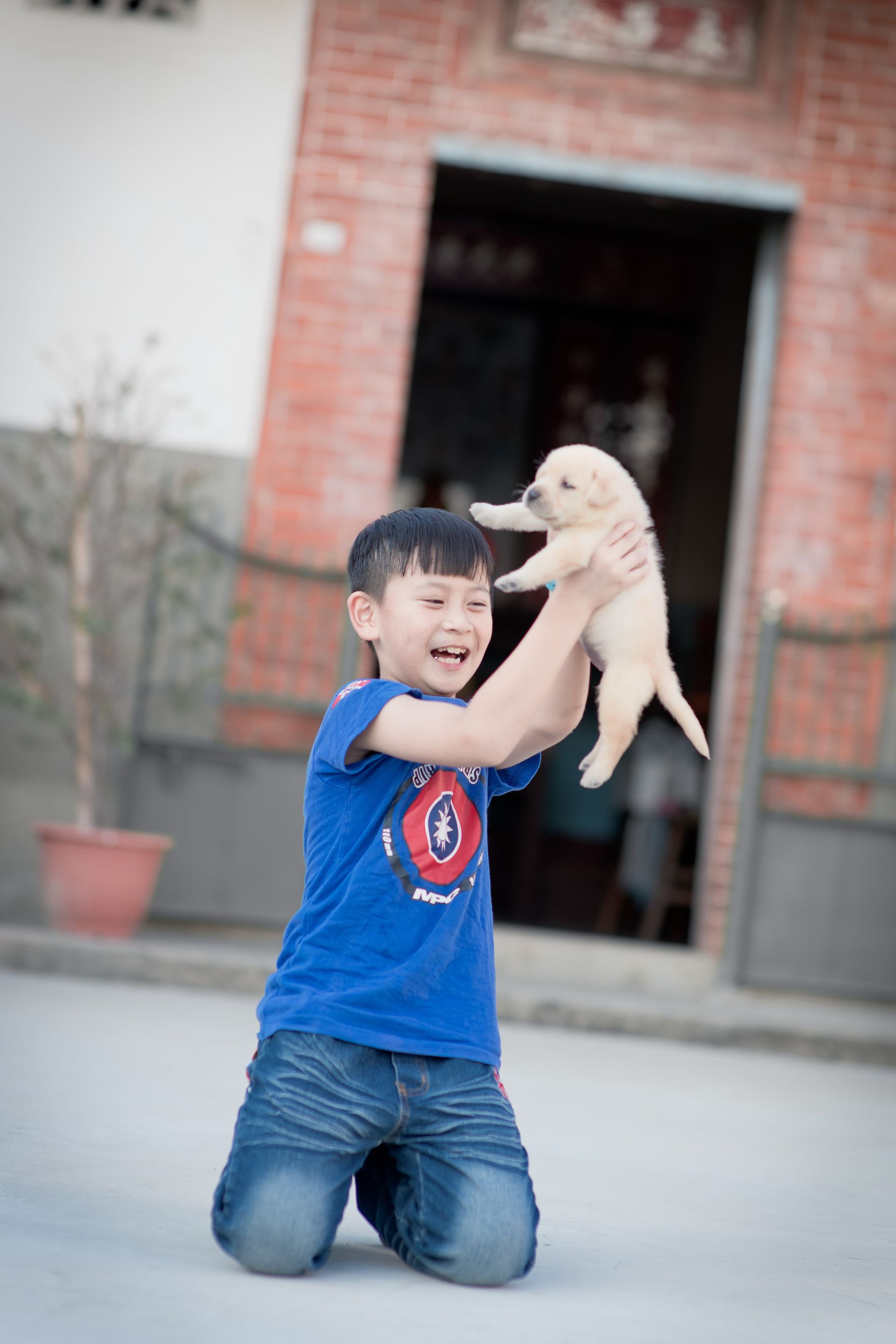 A child kneeling outdoors and holding up a yellow Labrador puppy.