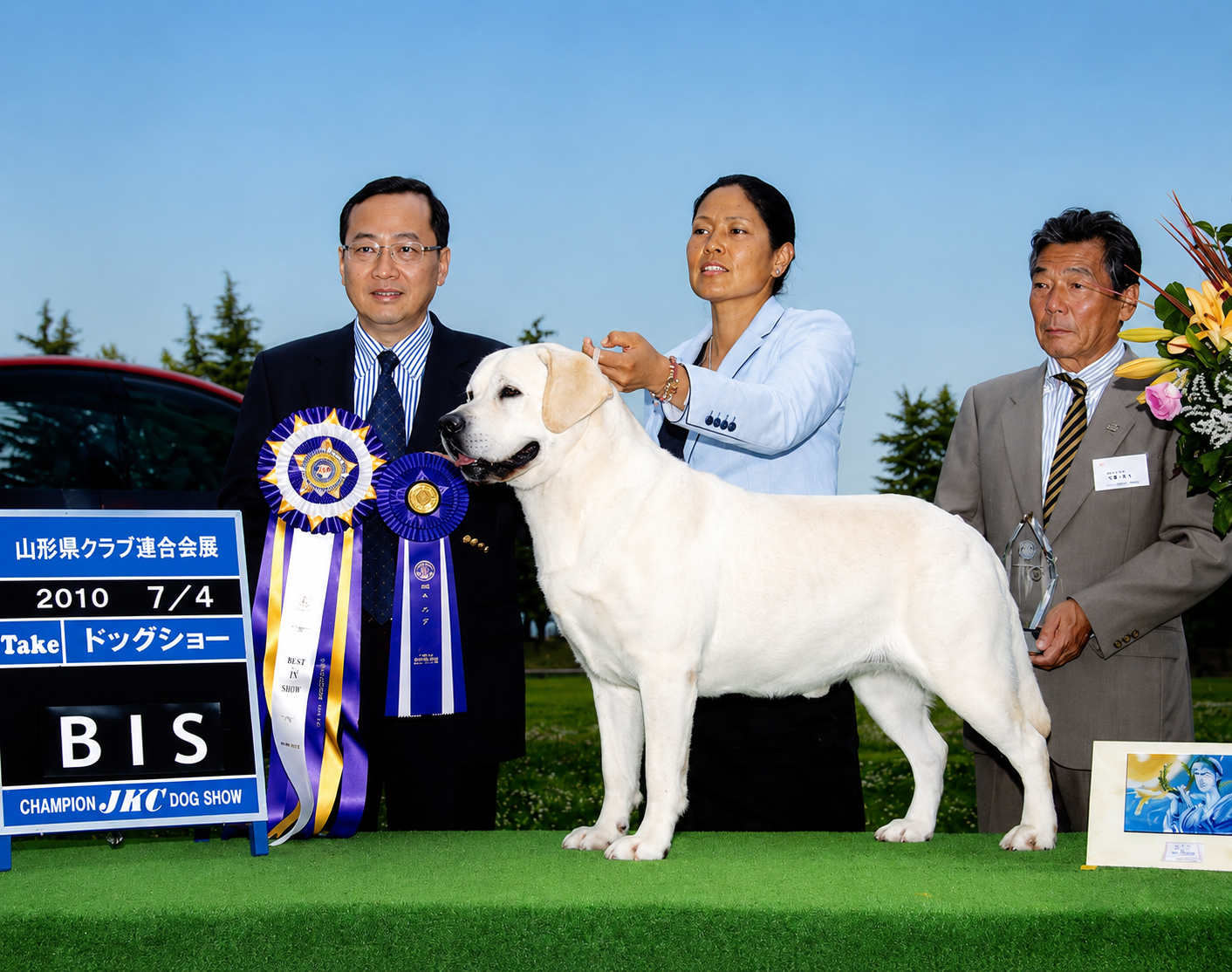 A yellow Labrador Retriever posed with handlers, award rosettes, and a Best in Show sign.