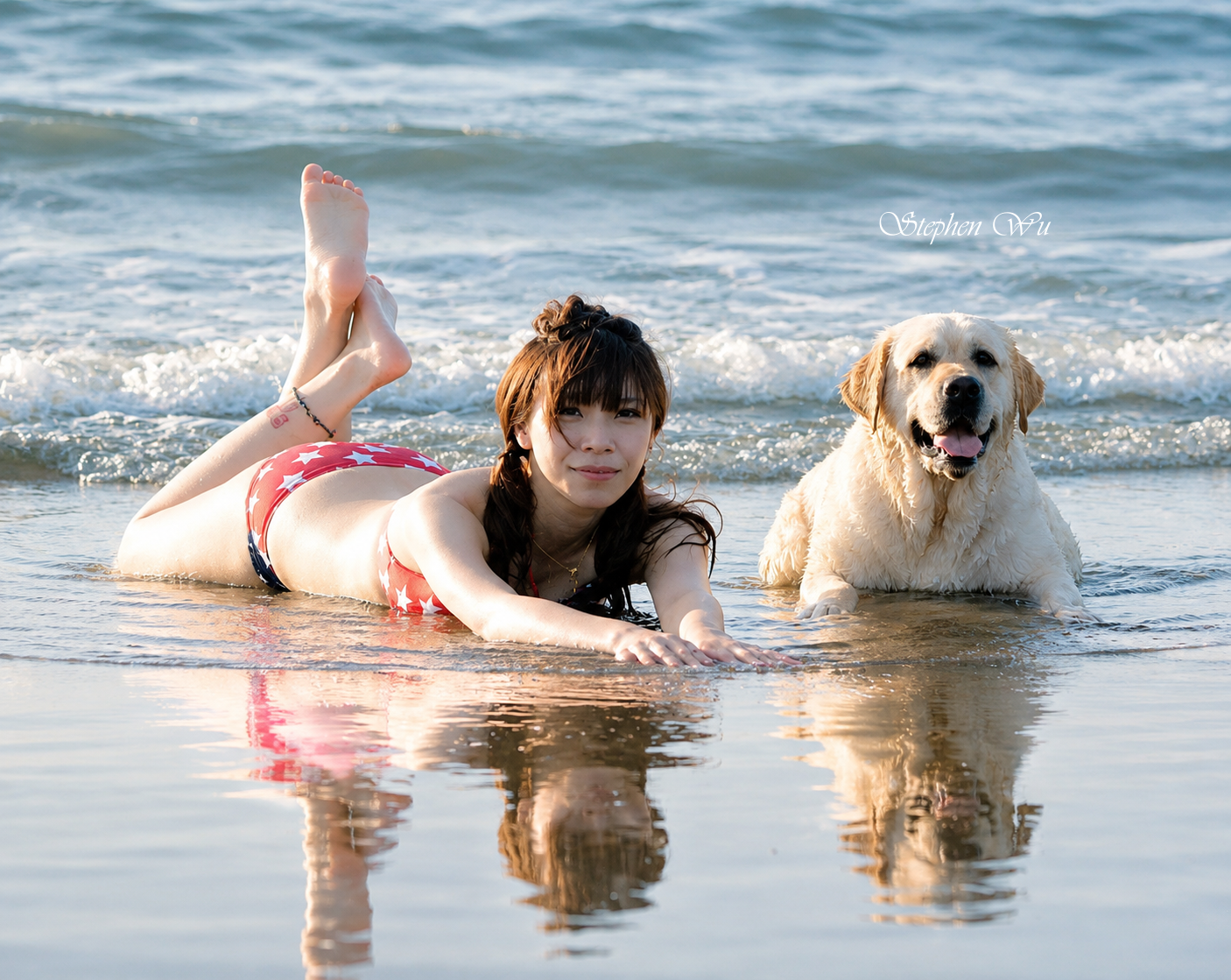 Catching, a Labrador Retriever at Toptail Labradors.