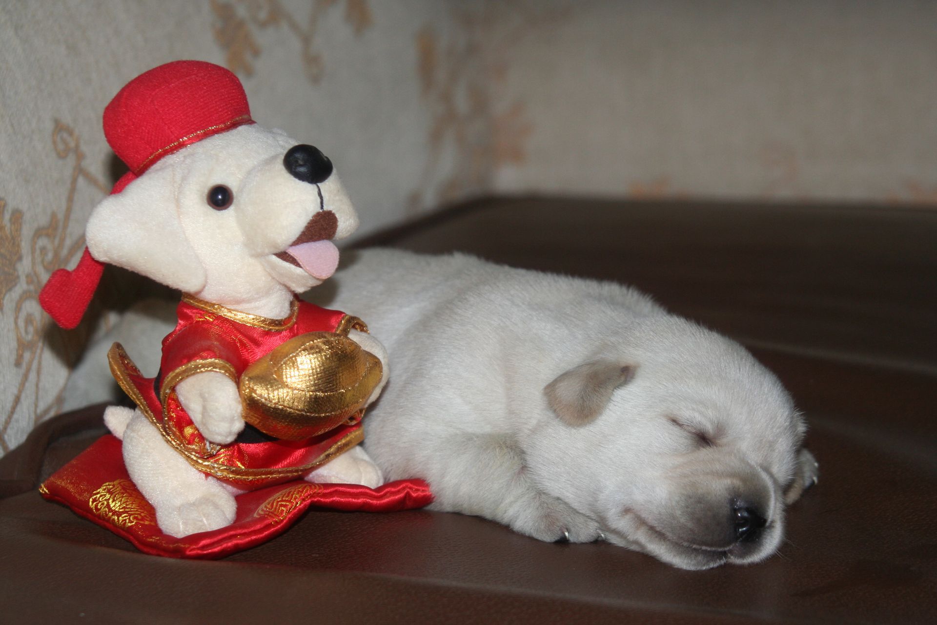 A yellow Labrador puppy sleeping beside a festive dog ornament.
