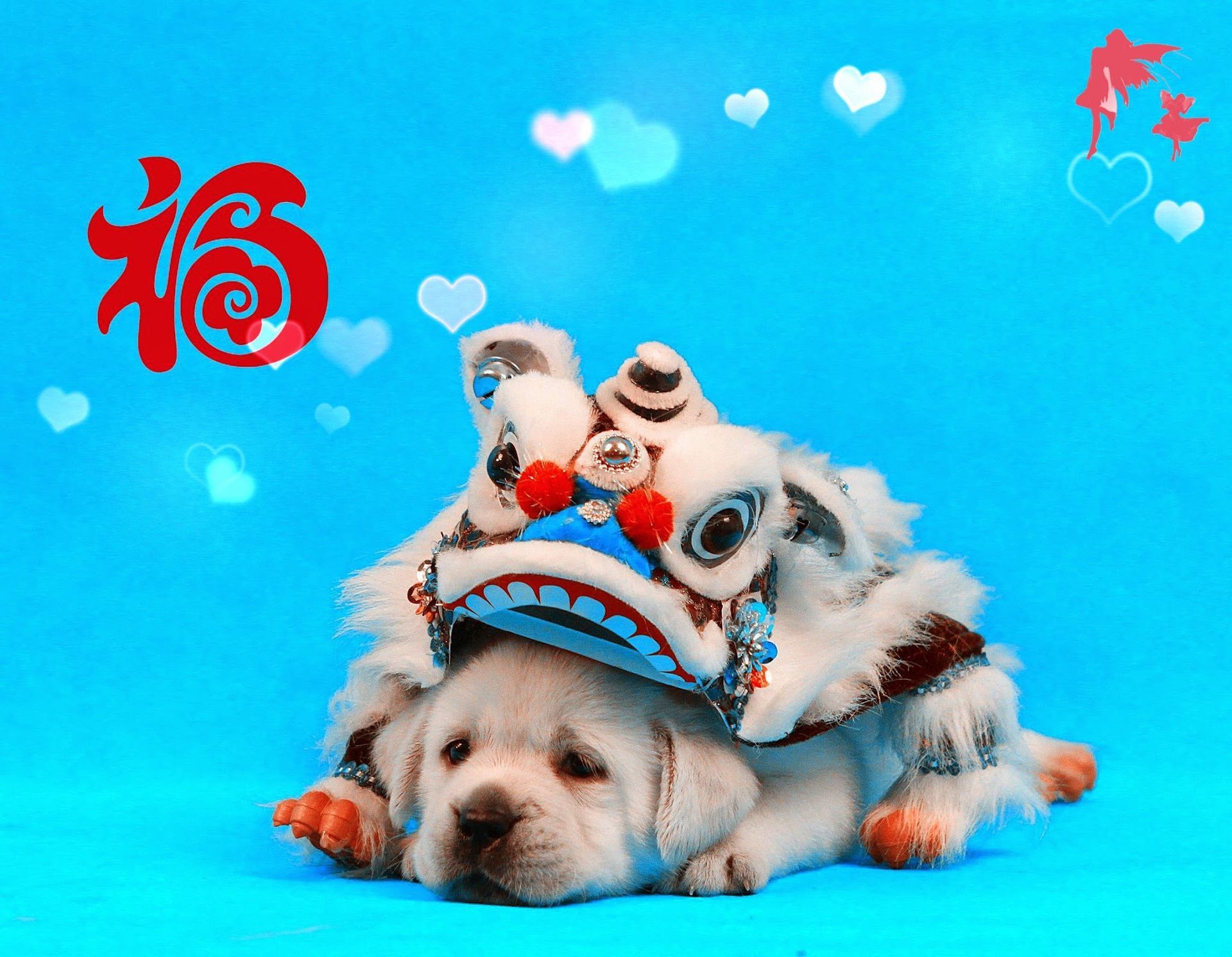 Yellow Labrador puppy wearing a festive lion-dance costume against a blue background.