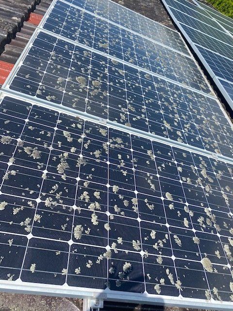 Solar Panel Before Clean — Leonard Gray Roof Tiling In Goonellabah, NSW