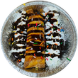 Dessert tray with a chocolate-drizzled rolled crepe, whipped cream, and colorful sprinkles in a foil pan
