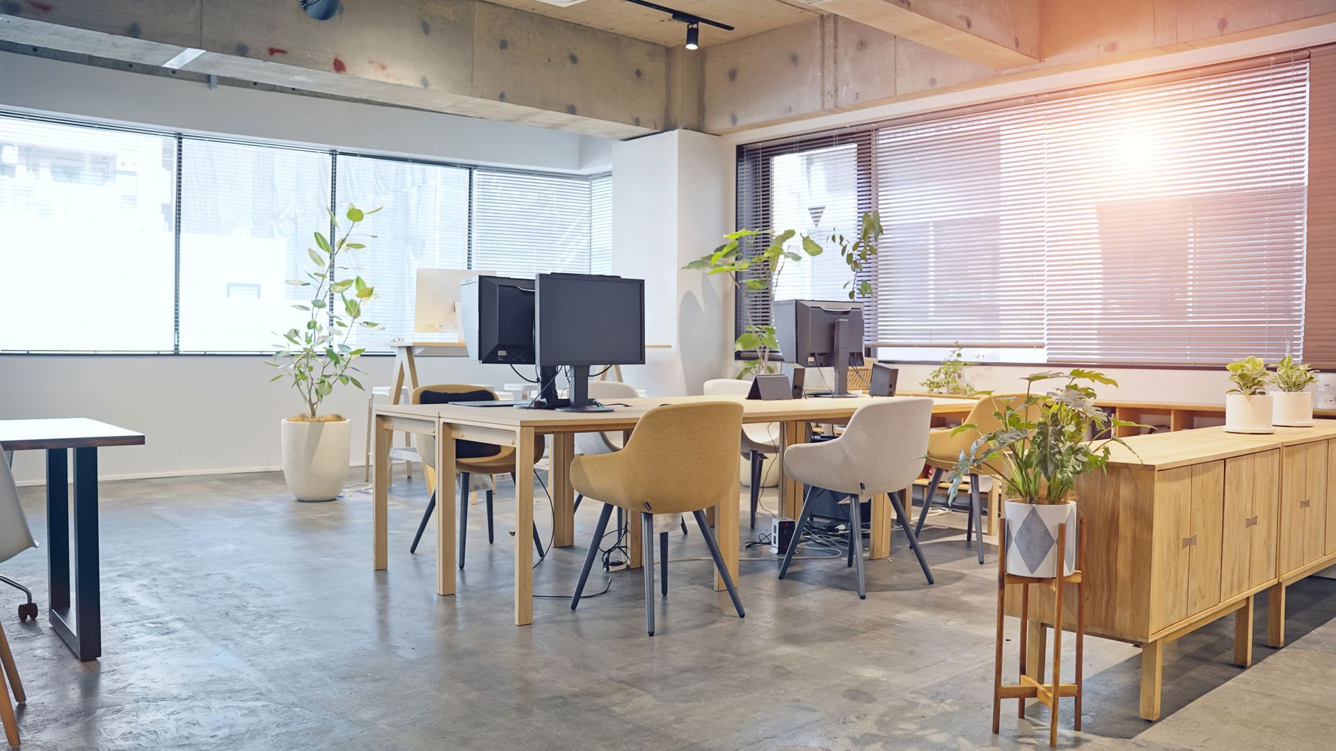 an empty office with tables , chairs , computers and potted plants .