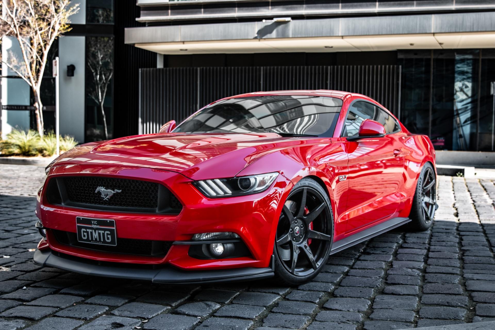 windshield window tint