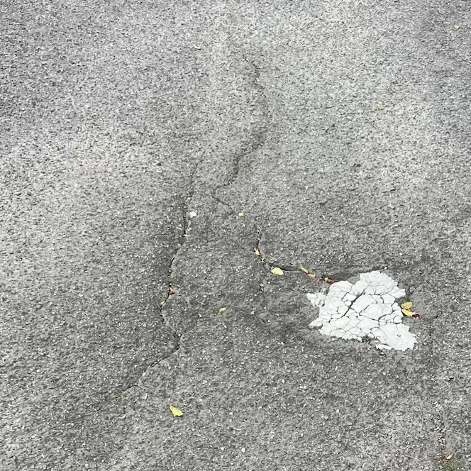 fissures de retrait dans une chaussée