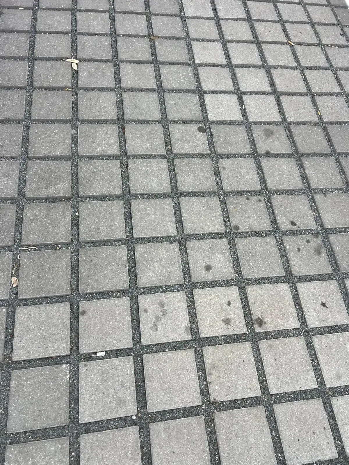 Pavés de stationnement formant une surface perméable