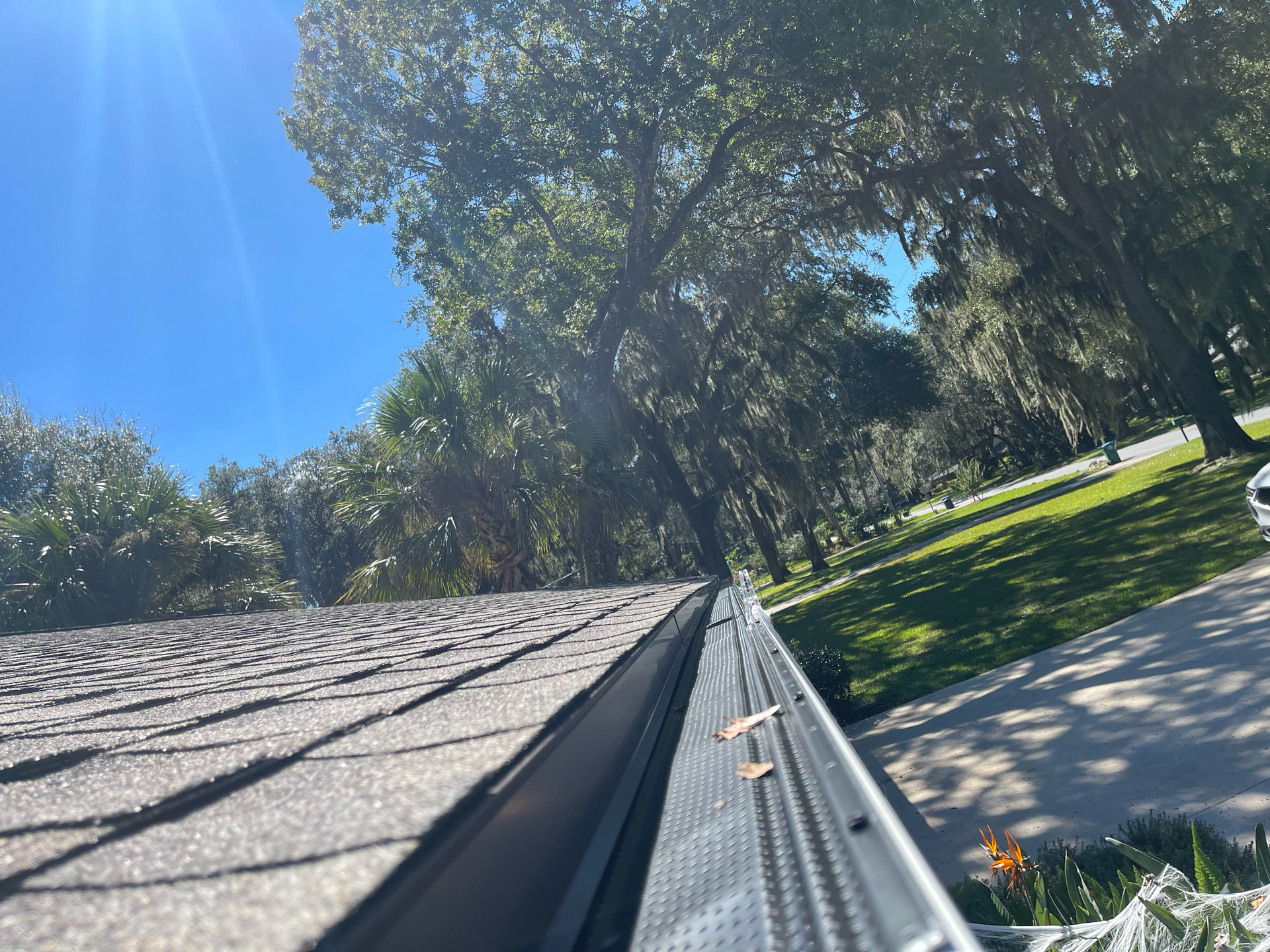 Roof edge with shingles and gutter beside a sunny park with trees and green grass