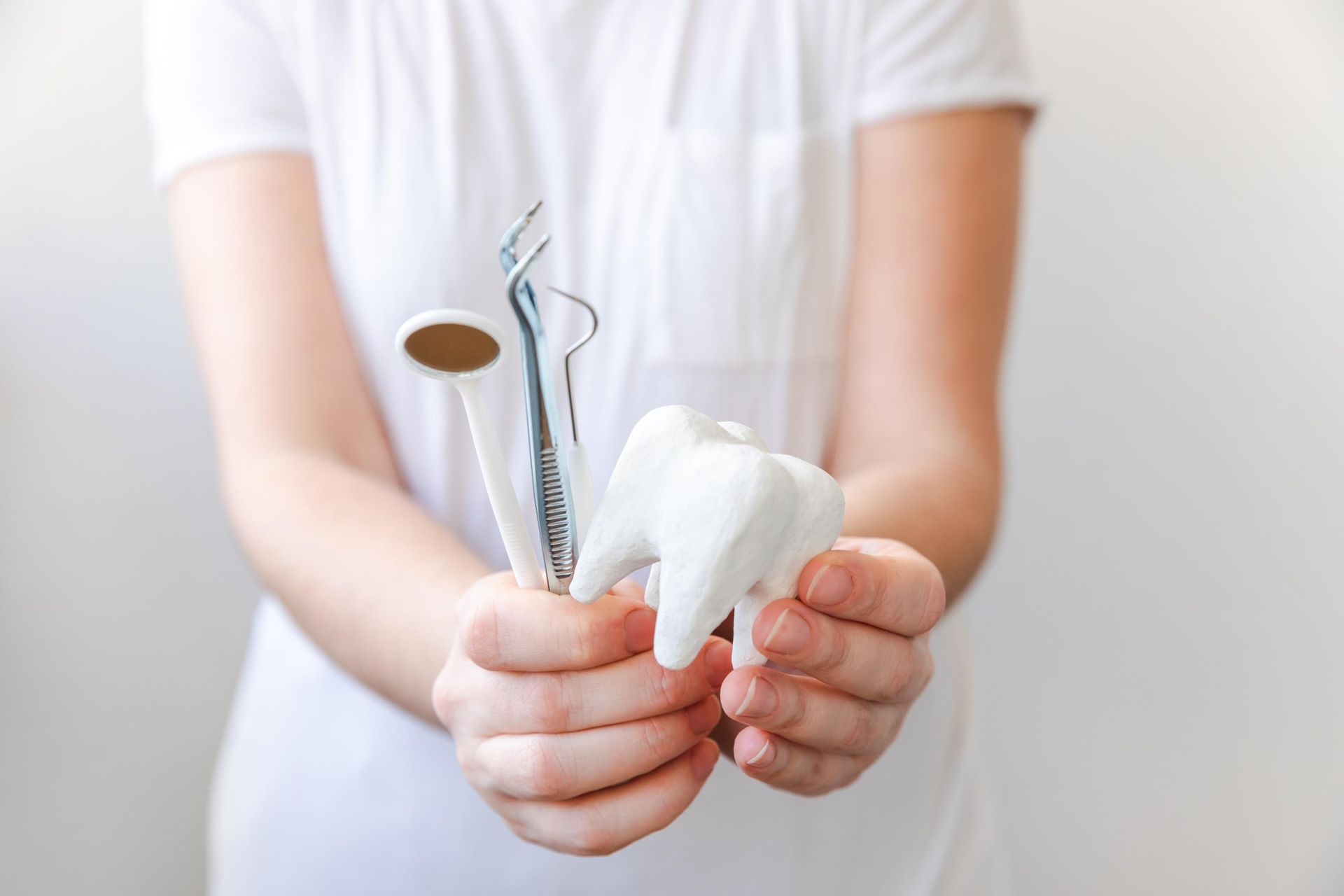 A woman is holding a model of a tooth and dental instruments.