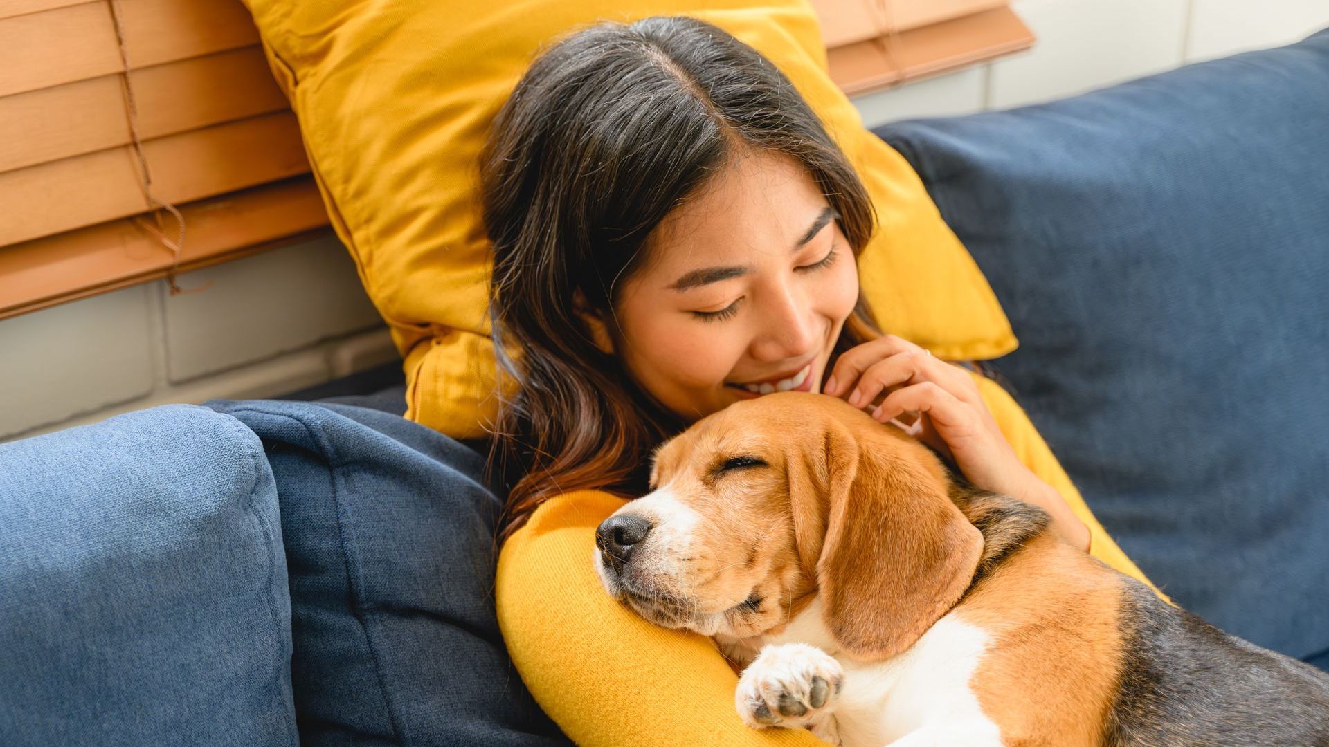 A woman is laying on a couch holding a beagle dog.