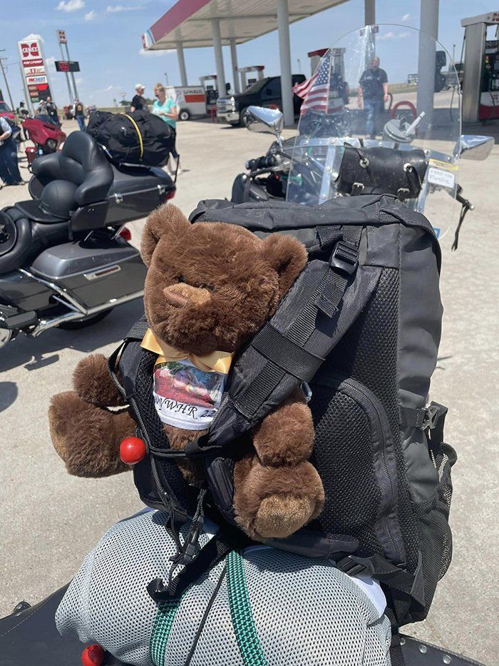 teddy bear strapped to motorcycle