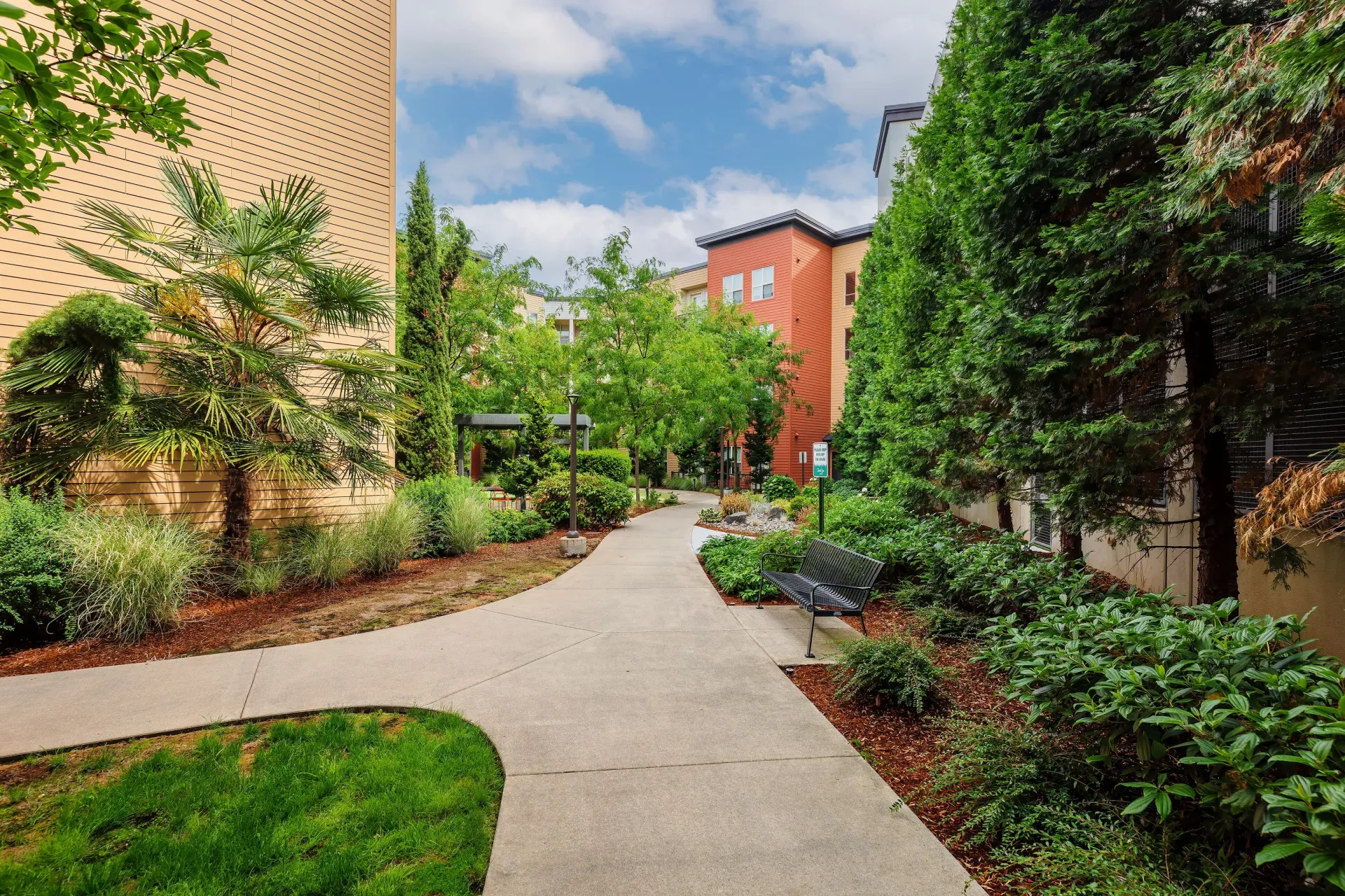 Concrete walkway through a landscaped apartment courtyard with benches and trees at Tessera at Orenco Station.
