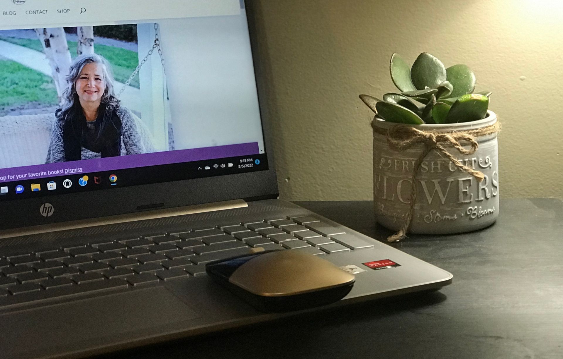 Sandra Wiseman Smith pictured on a laptop screen next to a succulent in a small gray pot, on top of black table. 
