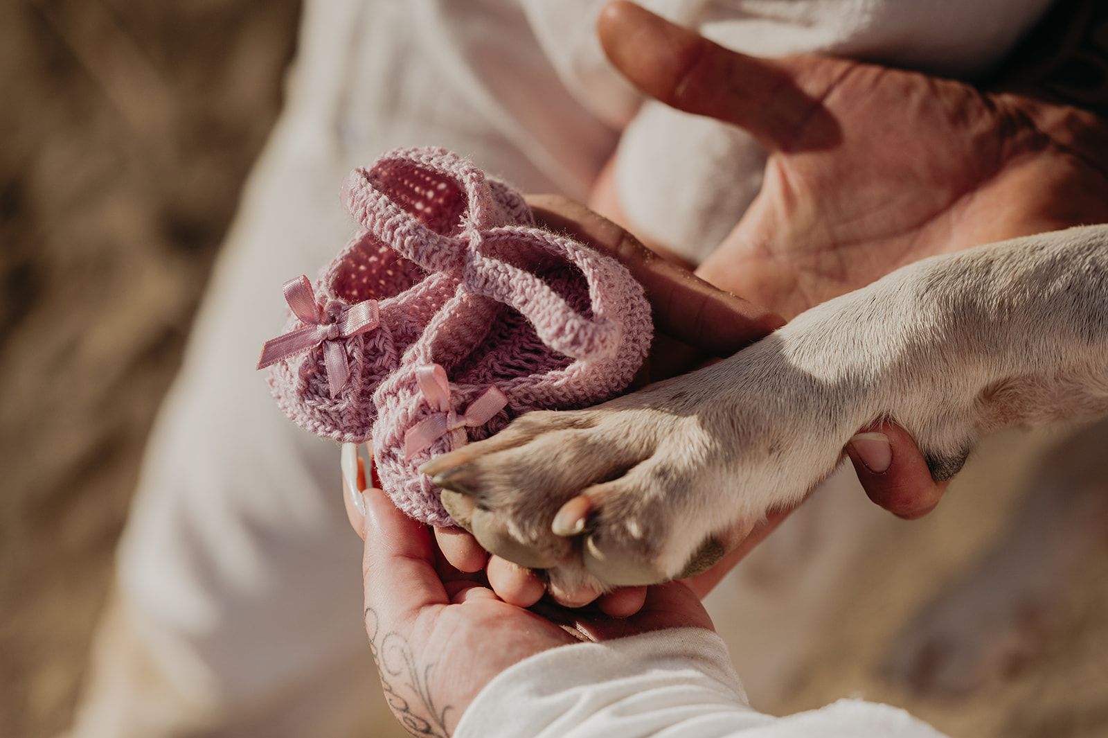 Persona sosteniendo la pata de un perro, con una manta de punto rosa encima