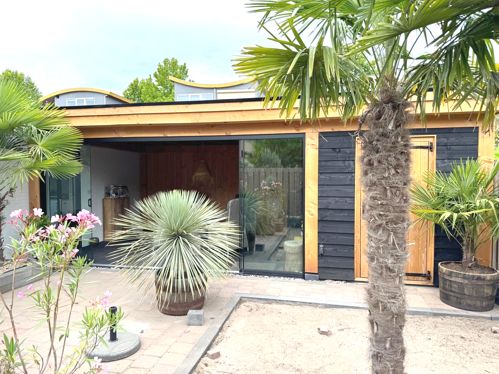 Een achtertuin in tropische stijl met een houten bijgebouw, palmbomen en glazen schuifdeuren.