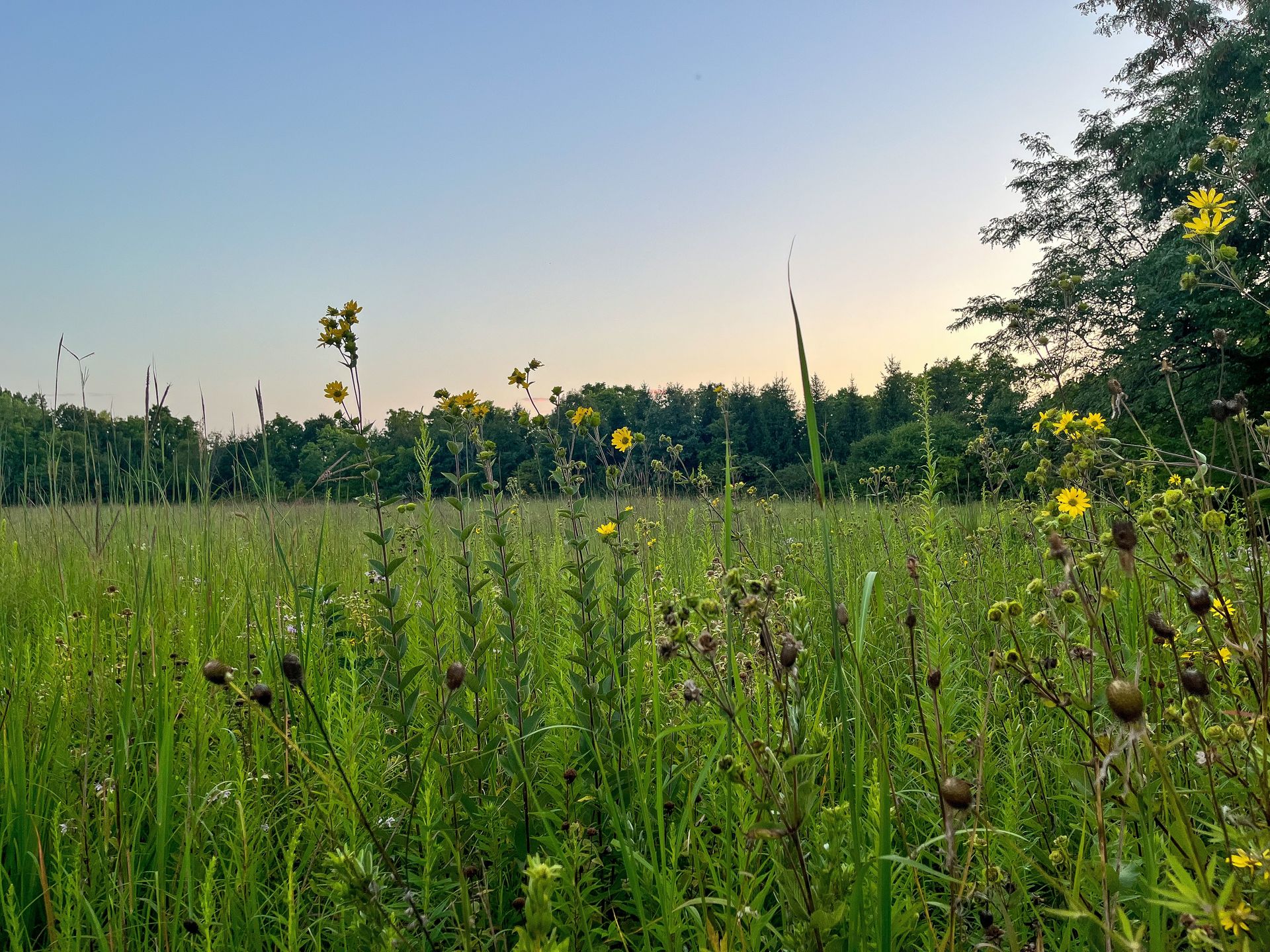 Funeral & Cremation Services in Terre Haute, IN | Samaritan Affordable