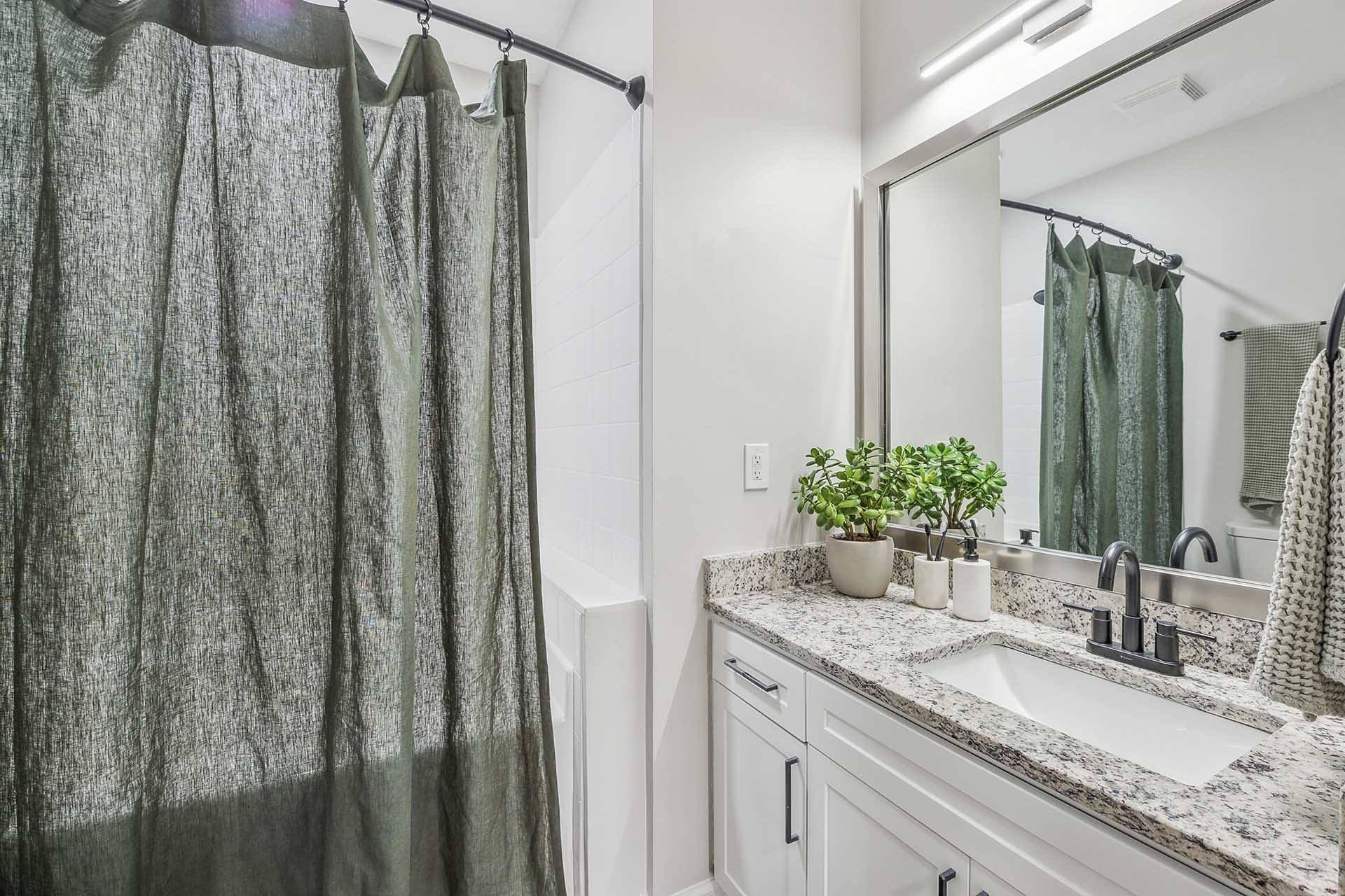 A bathroom with a sink, mirror, and a plant.