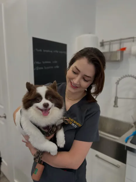 Woman holding a fluffy brown-and-white dog in a clean veterinary exam room