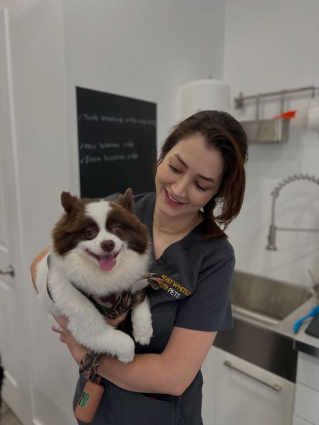 Woman holding a fluffy brown-and-white dog in a clean veterinary exam room