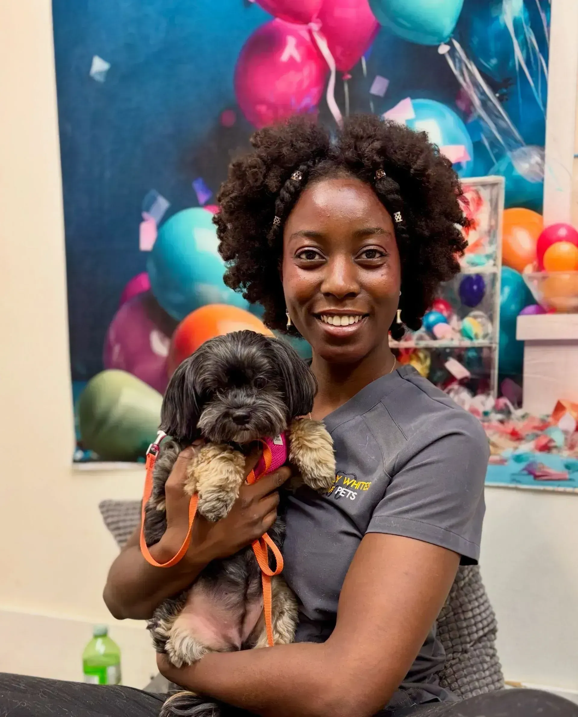 Woman holding a small black-and-tan dog in front of a colorful balloon backdrop