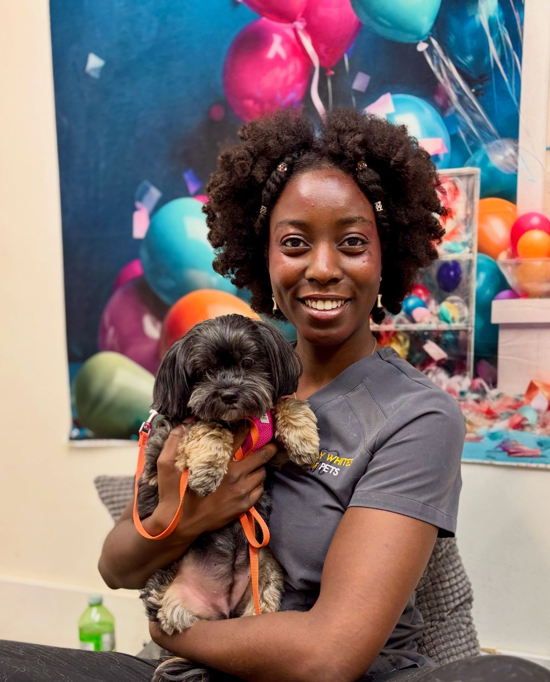 Woman holding a small black-and-tan dog in front of a colorful balloon backdrop