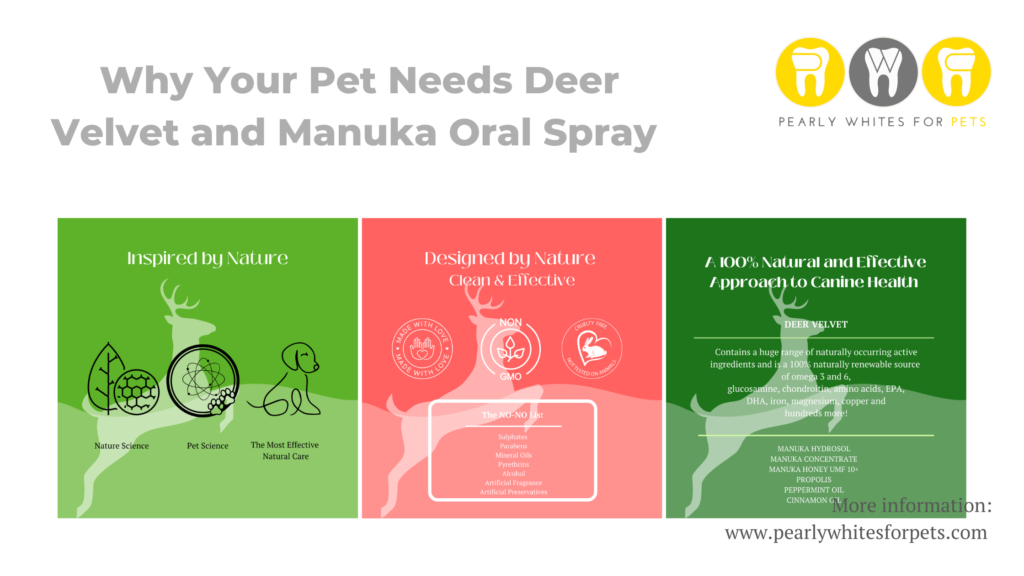 Pet dental spray ad with green, pink and dark green panels on a white background, showing a dog and cat silhouette.