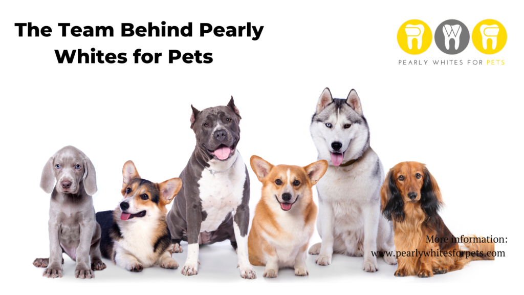 Banner of five dogs with the text “The Team Behind Pearly Whites for Pets” and a small logo