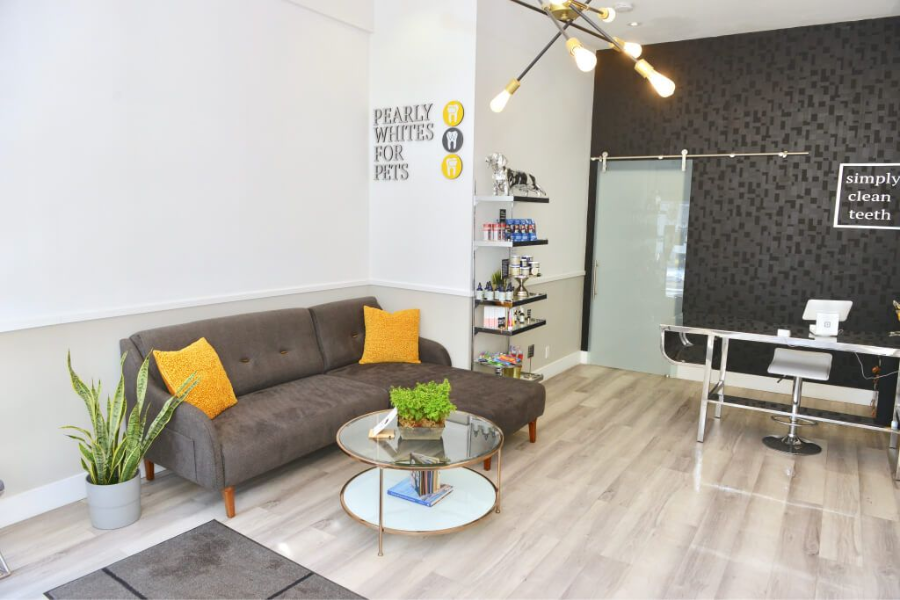Bright modern living room with gray sofa, yellow pillows, coffee table, dining area, and wood floors