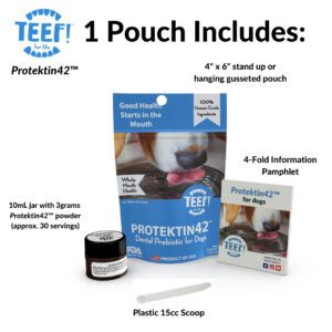 TEEF! Protektin42 pet supplement pouch with jar, scoop, and info pamphlet on white background