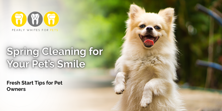 Fluffy dog beside text reading “Spring Cleaning for Your Pet’s Smile” and “Fresh Start Tips for Pet Owners”