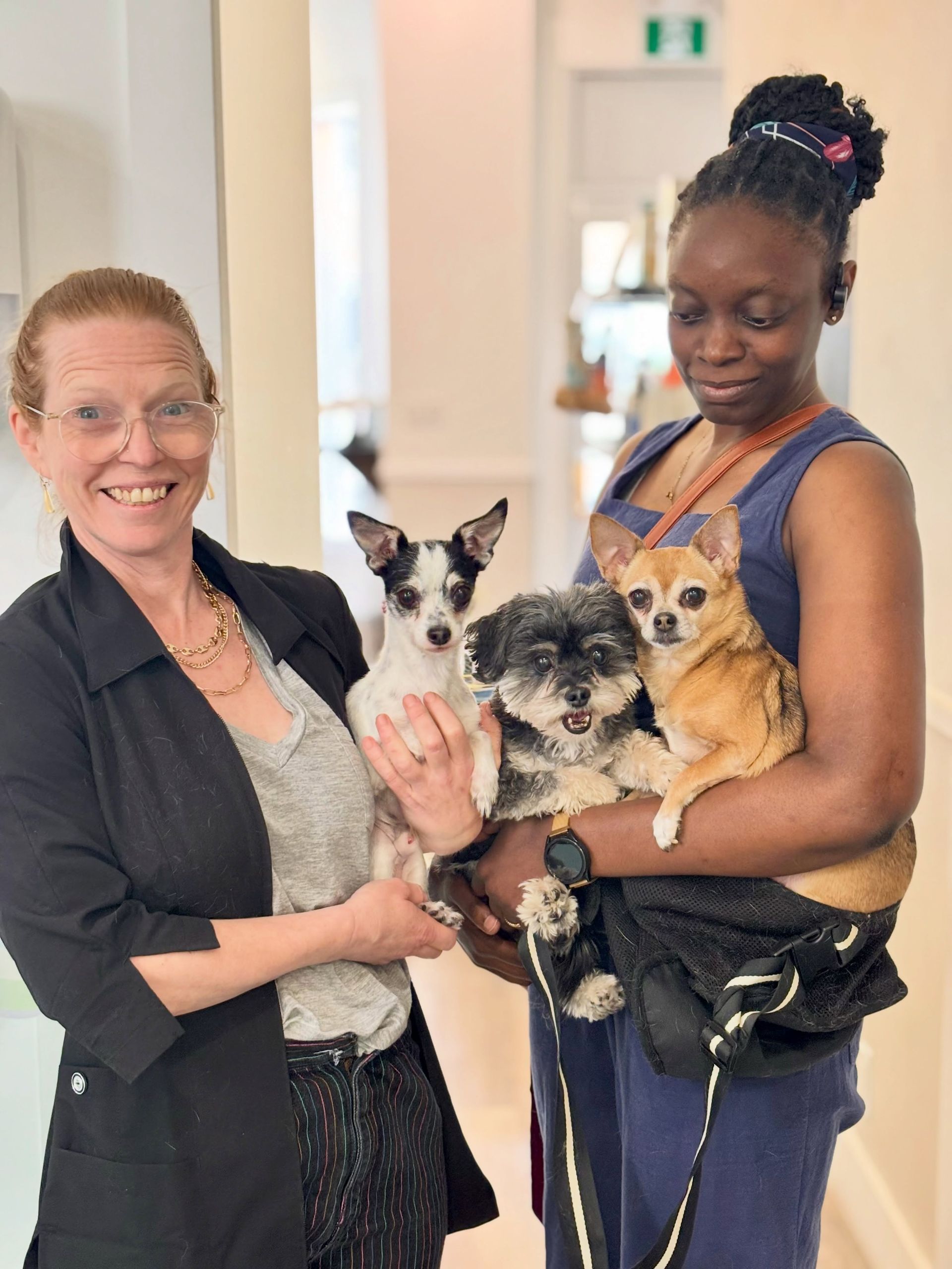 Two women holding four small dogs indoors, one smiling at the camera