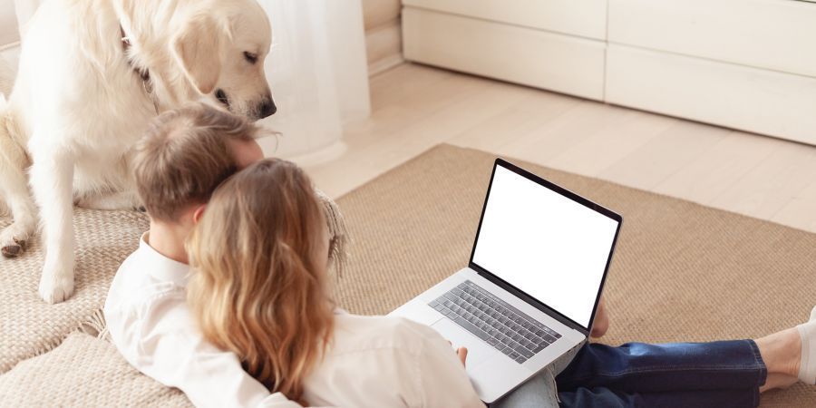 Woman using laptop on floor with white dog in a bright room
