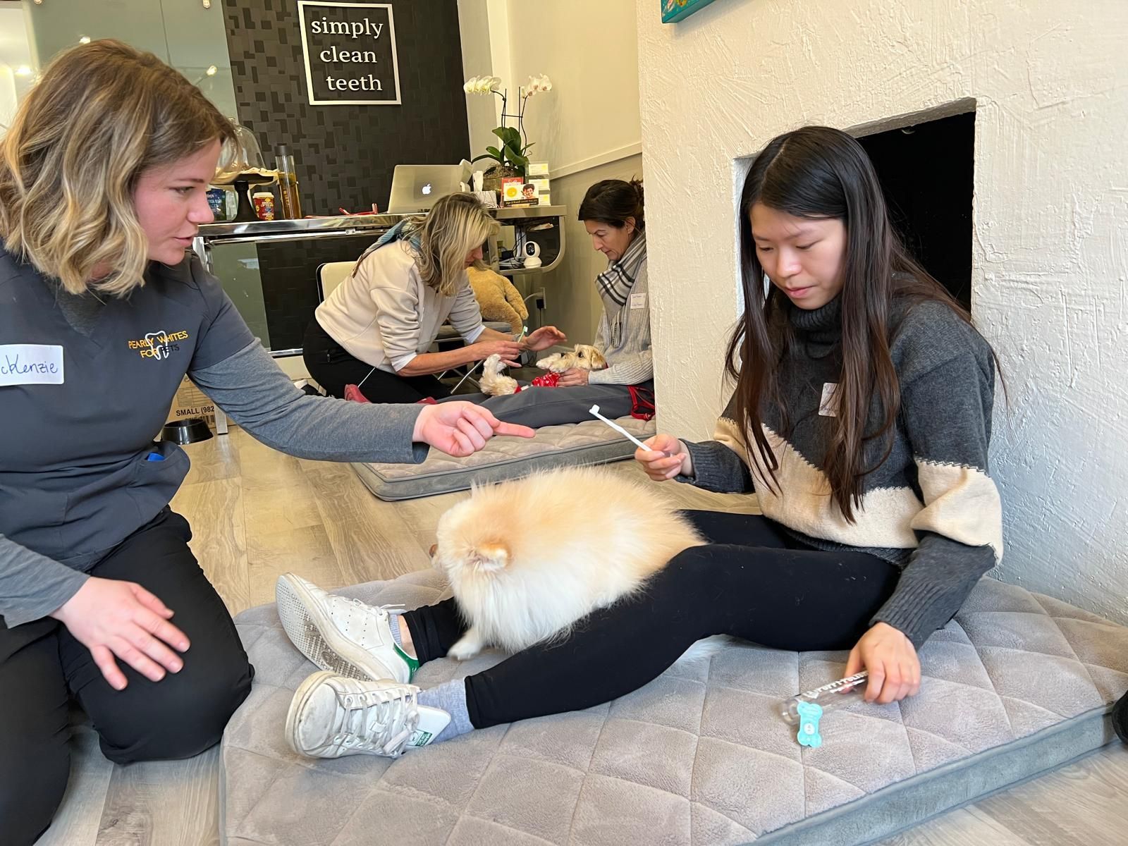 People petting a cream-colored dog on a mat in a cozy indoor room