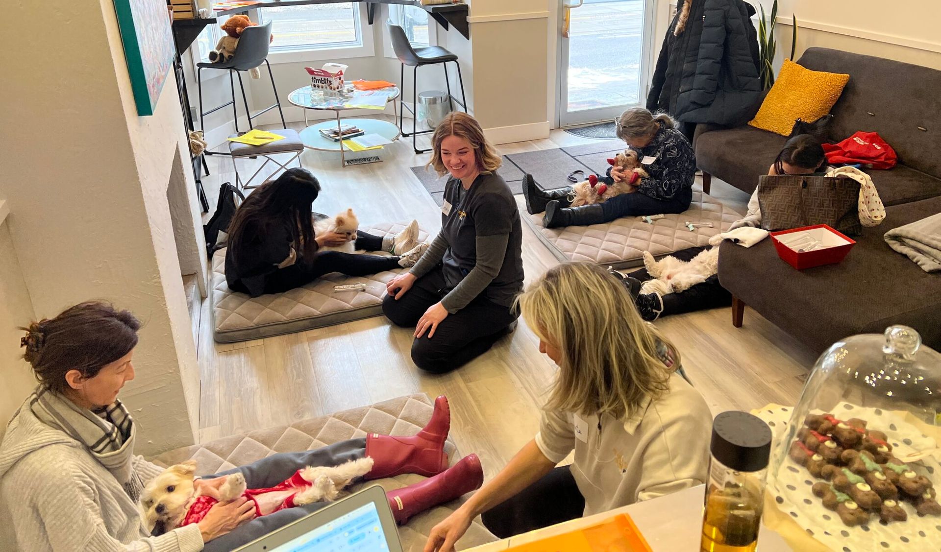 People seated on a living room floor, chatting near a window and scattered toys, with a sleeping dog on the couch.