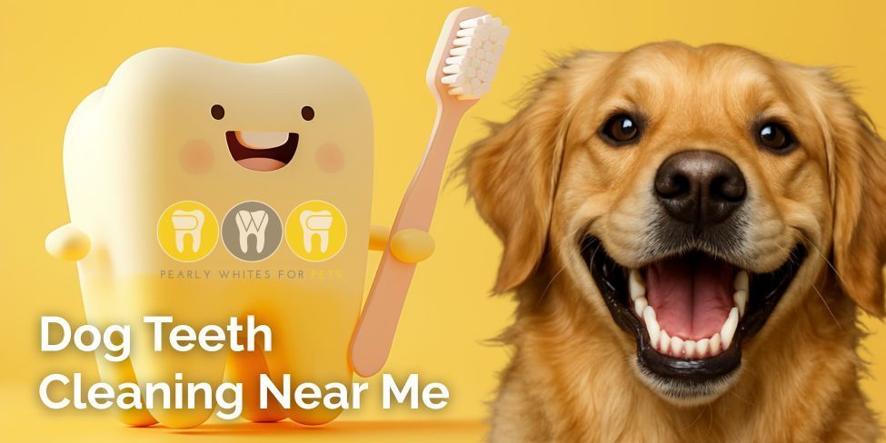Dog teeth cleaning ad with smiling tooth mascot, toothbrush, and happy dog on yellow background
