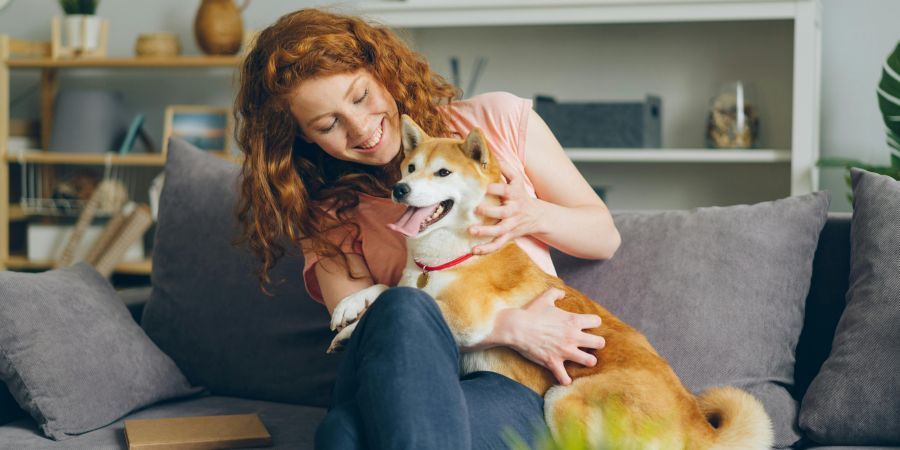 Woman cuddling a Shiba Inu on a gray couch in a bright living room