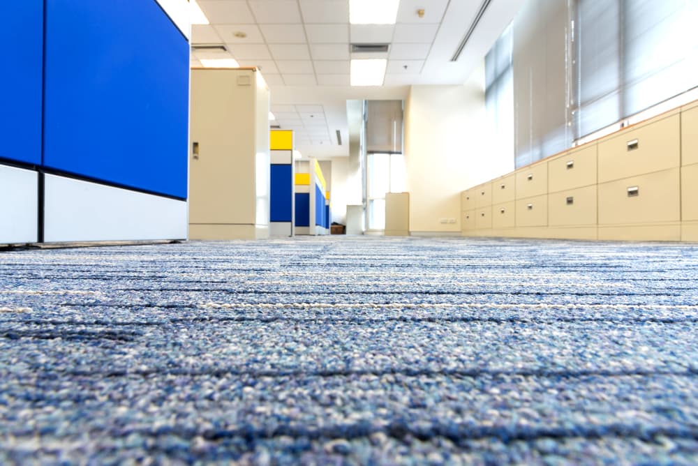 Carpet Floor In Office - Flooring in Nanango, QLD