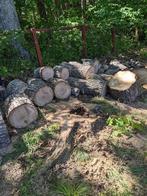 tree services 6