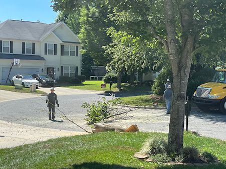tree services 8