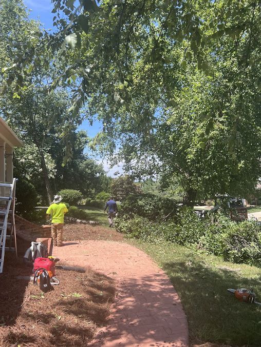 tree services 9