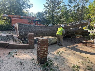 tree services 15